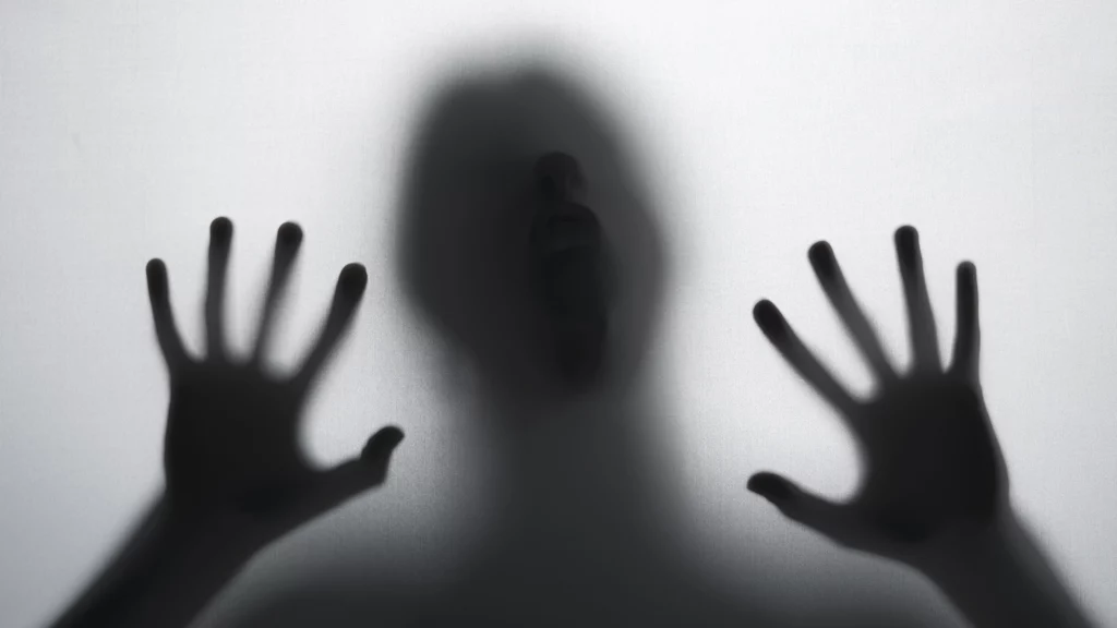C'est l'en-tête de l'article chuchoteurs de l'ombre. Il y a une personne qui colle ses mains et son visage sur une vitre ou un drap au travers duquel passe la lumière.On voit la personne en ombre chinoise. terreur