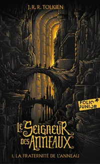 C'est la couverture de "la fraternité de l'anneau", le tome 1 du Seigneur des Anneau écrit par John Ronald Reuel Tolkien. Dessus, il y a des personnages qui traversent des ponts dans une ville sous-terraine. Il y a beaucoup d'escaliers et le dessin en réalisé dans des teintes de noir à jaune/doré.